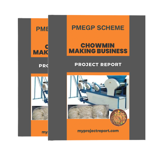 pmegp chowmein making business project report with two book set