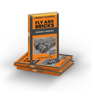 pmegp scheme fly ash bricks project report with three cover page books set