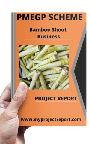 bamboo Shoot project report cover in hand